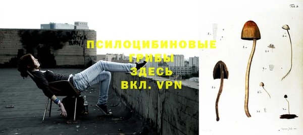 альфа пвп Верхнеуральск