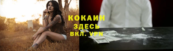 мдпв Верея