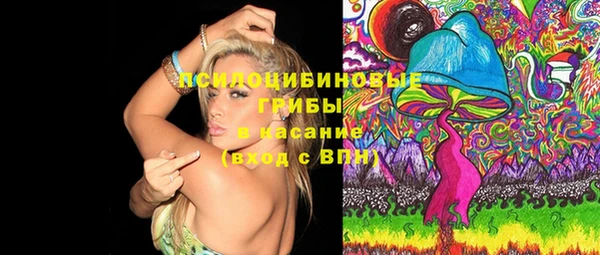 альфа пвп Верхнеуральск