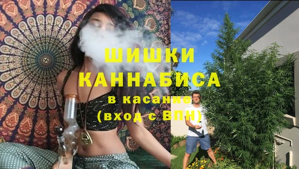 мдпв Верея