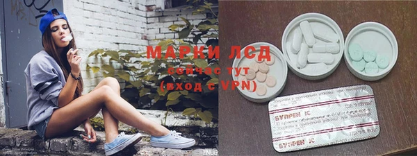 мдпв Верея