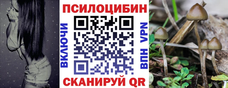 Купить закладки  Кедровый  Галлюциногенные грибы ЛСД 